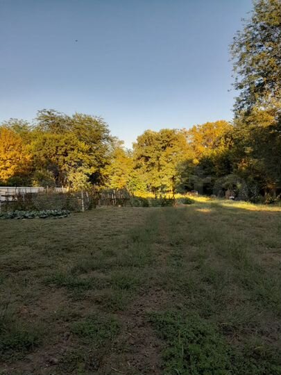 Участок 22 сот. (СНТ, ДНП)