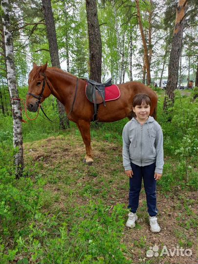 Тур на Айские Притесы+ Идрисовская пещера