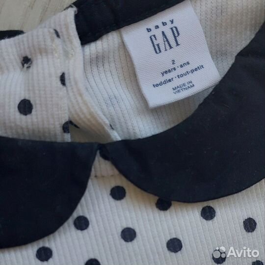 Лонгслив блузка Gap 2 года