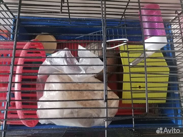 Клетка для грызунов бу