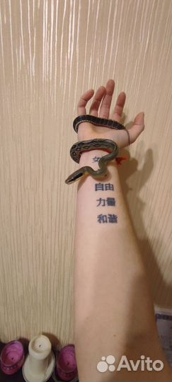 Продам полоза
