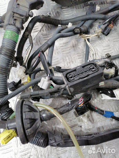 Коса двс Toyota Rav4 ACA38