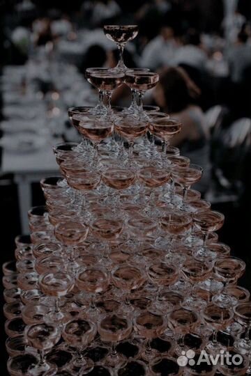 Организация мероприятия