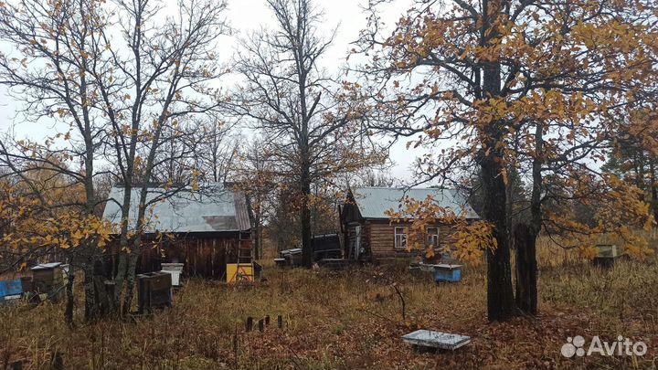 Дом с пасекой