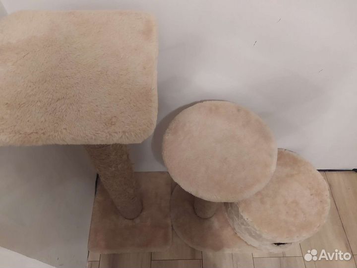 Когтеточка бу осталась без домика