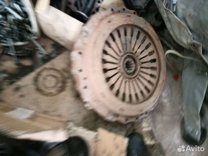 Тнвд Ман d2066