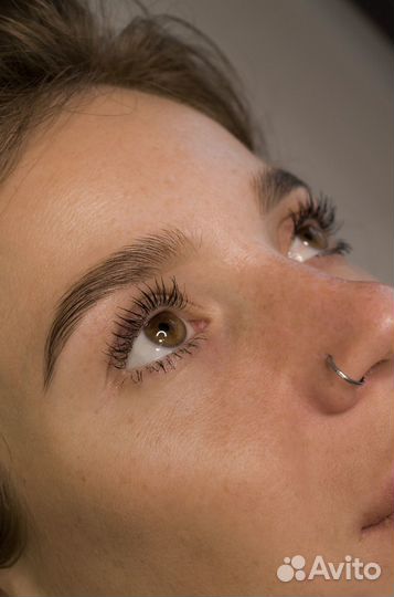 Мастер бровист