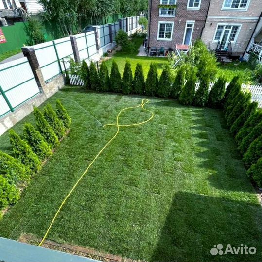 Рулонный газон