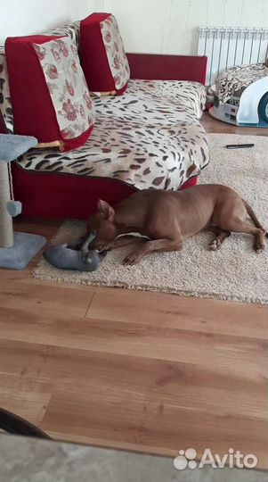 Кабель на вязку