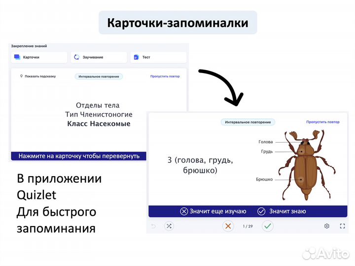 Репетитор по химии и биологии