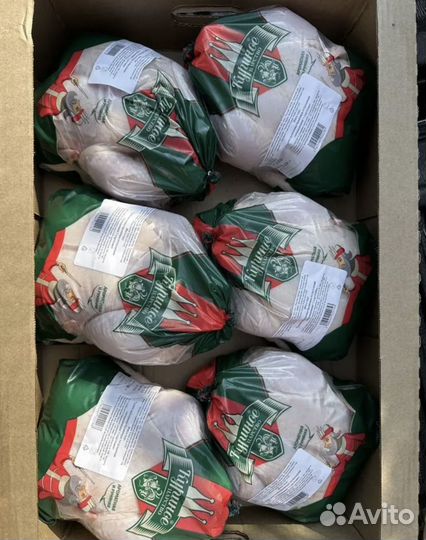 Курица тушка оптом