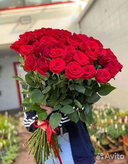 101 Роза Цветы Букеты 51 25 Роз Доставка
