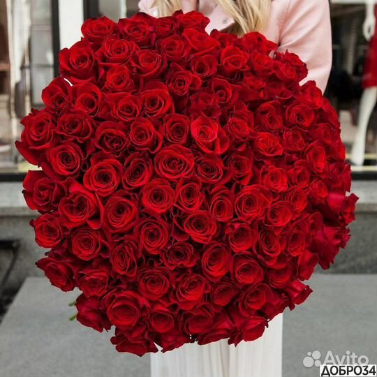 101 красная роза Доставка