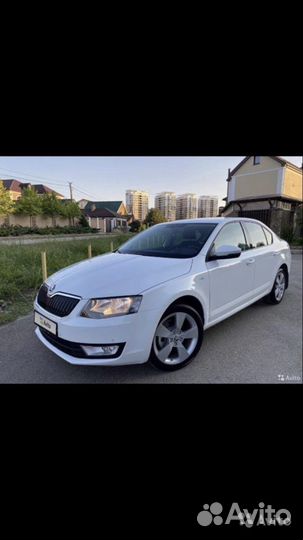 Трансфер Геленджик Новороссийк Анапа Краснодар