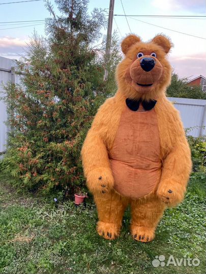 Белый Мишка и Бурый