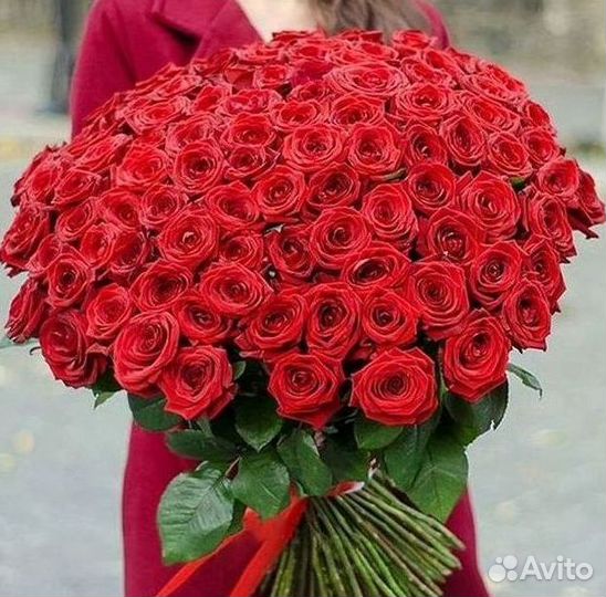 Высокие розы Гигантские розы с доставкой