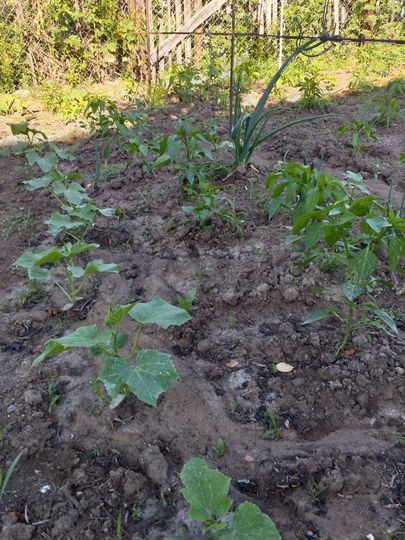 Дача 18 м² на участке 6 сот.