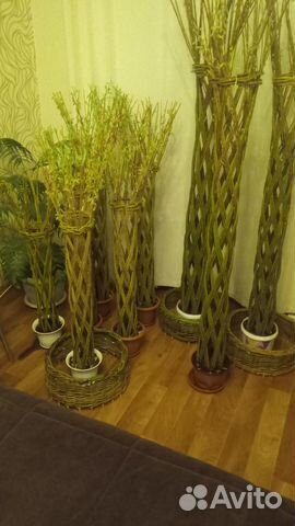 Плетёные деревья из ивы. Русская пальма купить в Чапаевске | Товары для ...