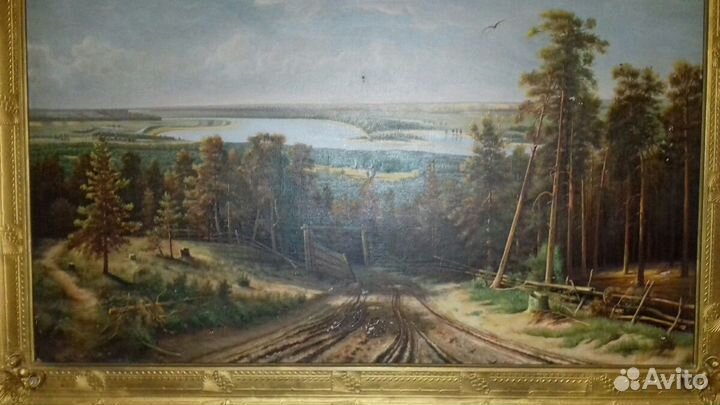 Картина (И.И.Шишкина) 