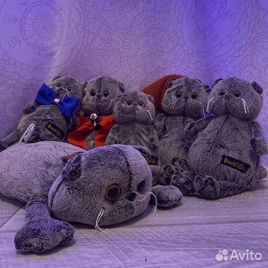 Коты Басики