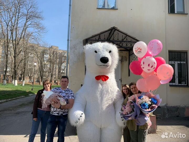 Белый мишка и Слоник поздравление, ростовая кукла