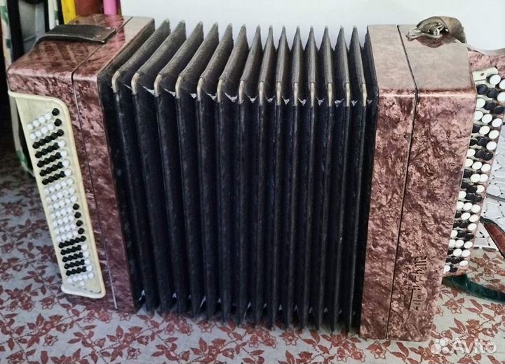 Баян тульский