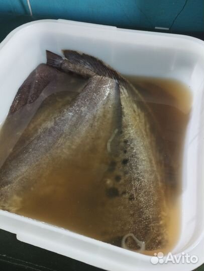 Кубоконтейнер бу