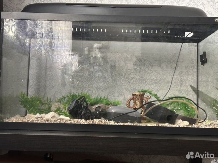 Аквариум