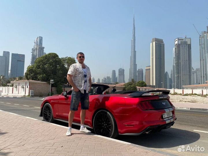 Смм. Настройка рекламы вк, ок, яндекс