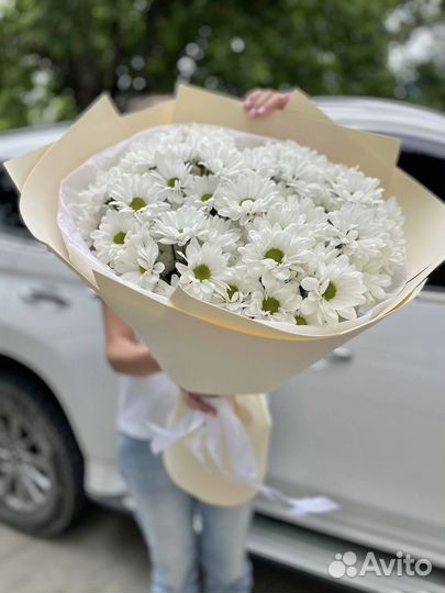 Большой букет ромашковых хризантем