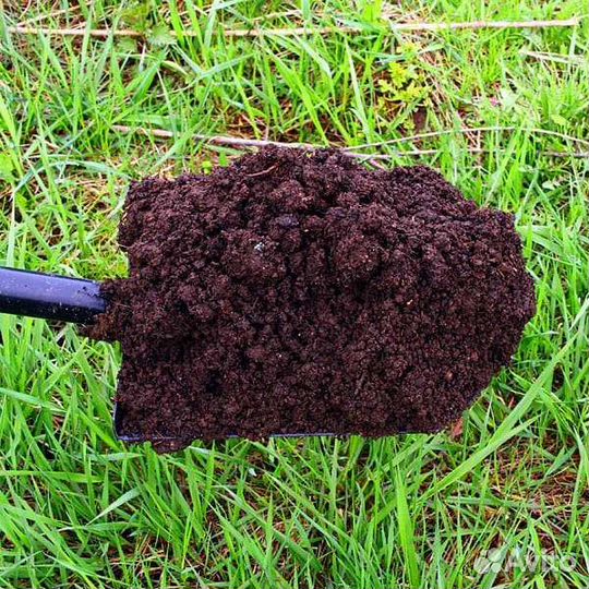 Перегной, чернозём, навоз в Томске