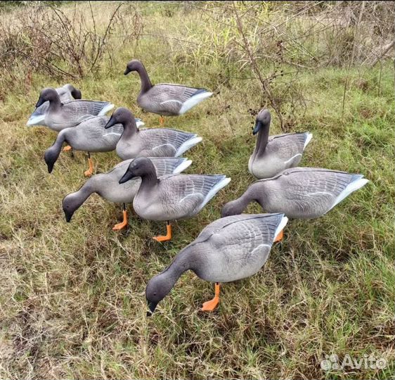 Чучела гусей гуменник 10 шт