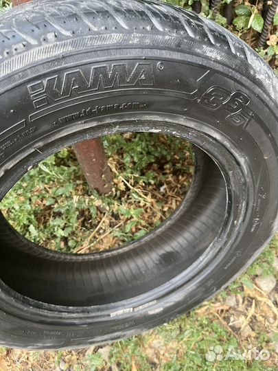 КАМА 365 (241) 185/65 R14