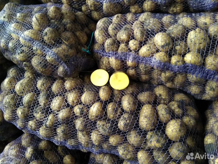 Домашний картофель с доставкой (картошка)