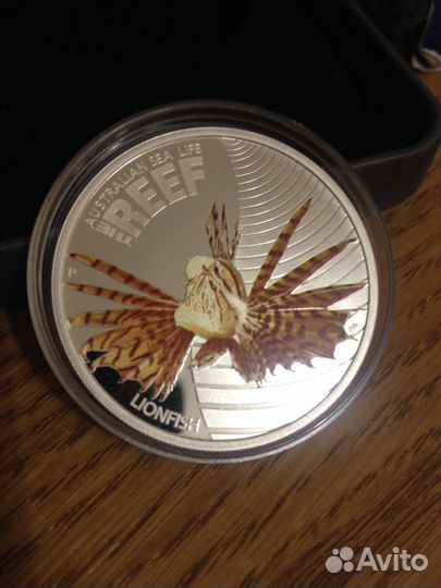 Рыба-лев (reef sea)