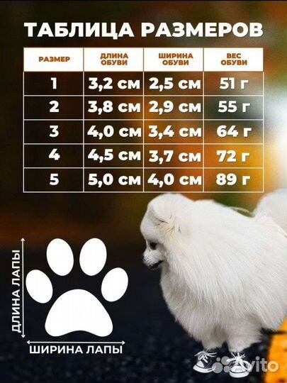 Новые кеды-кроссовки для собачки