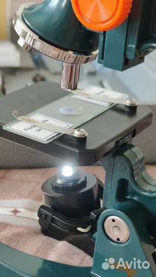 Микроскоп с проектором Levenhuk LabZZ