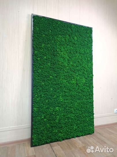 Панели из мха по вашим размерам от производителя