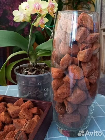 Кора для орхидей крупная 