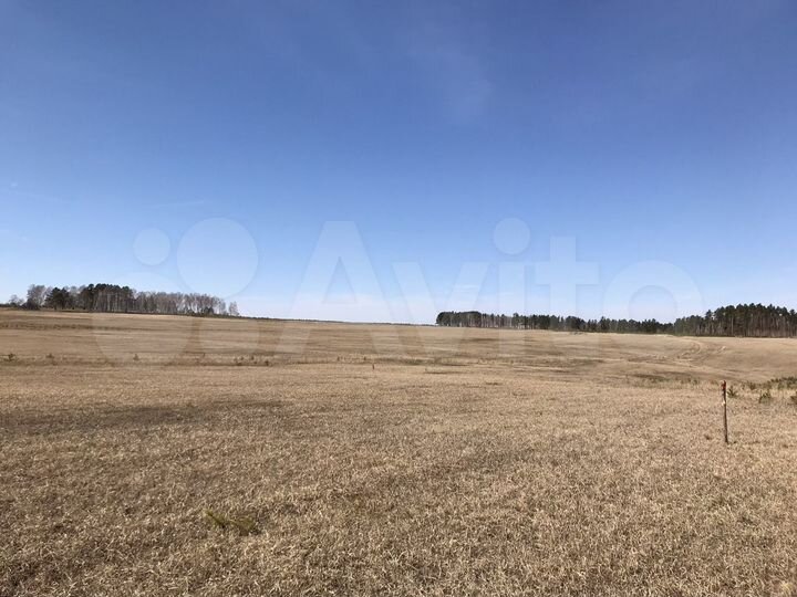 Участок 45 сот. (СНТ, ДНП)