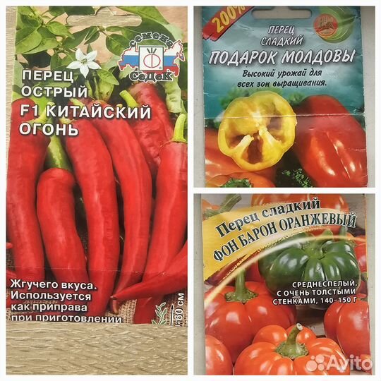 Рассада томатов перцев баклажан