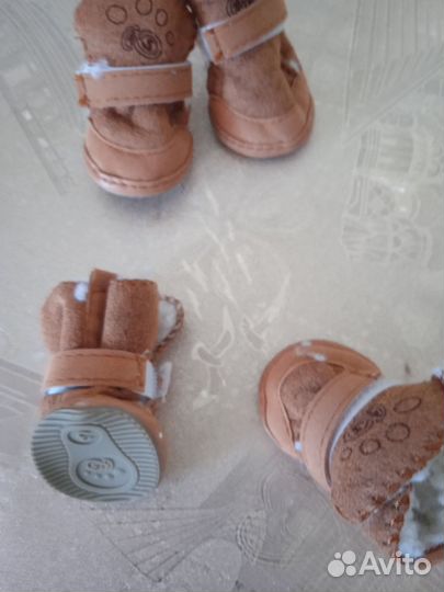 Обувь для маленьких собак