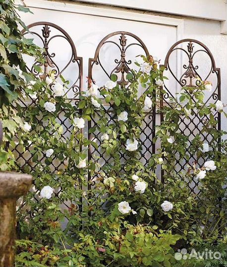 Кованые шпалеры для вьющихся растений