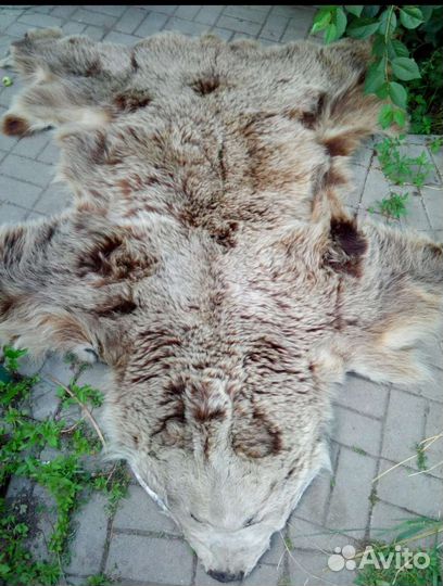 Шкура медведя имитация