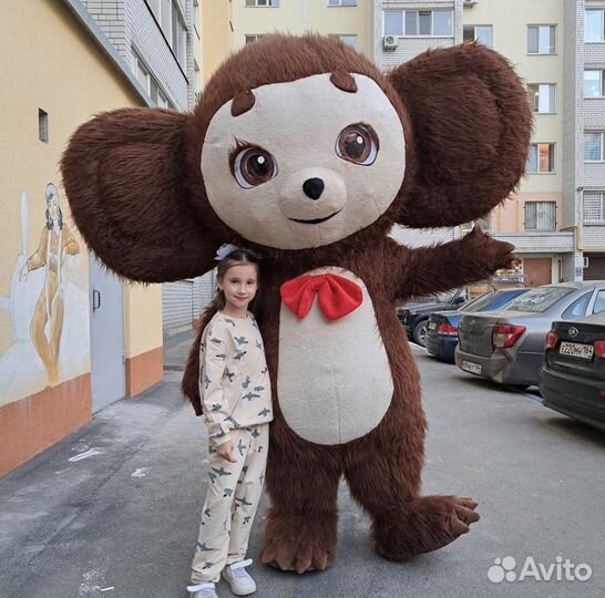 Экспресс поздравления