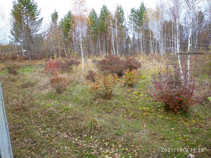 Дача 12 м² на участке 10 сот.