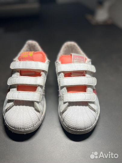 Adidas superstar 29