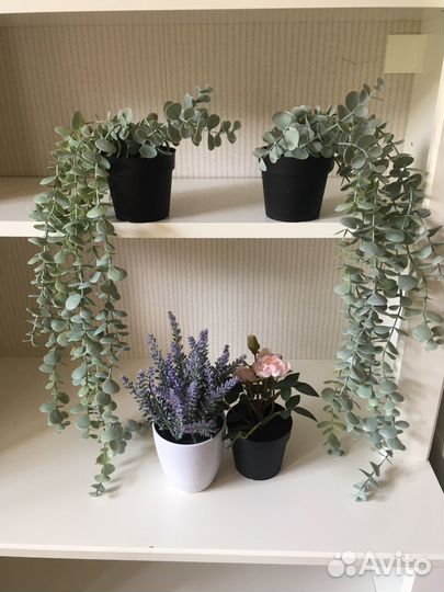 Искусственные растения IKEA и др