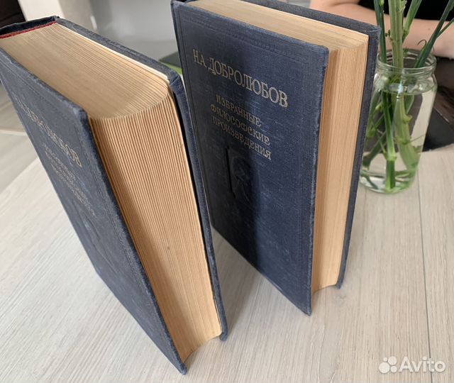 Н.А. Добролюбов. Избранные произведения