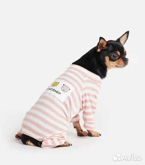 Одежда для собак мелких и средних пород